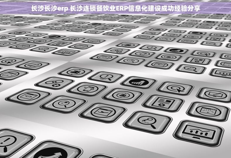 长沙长沙erp 长沙连锁餐饮业ERP信息化建设成功经验分享