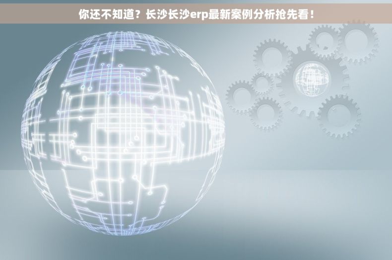 你还不知道？长沙长沙erp最新案例分析抢先看！