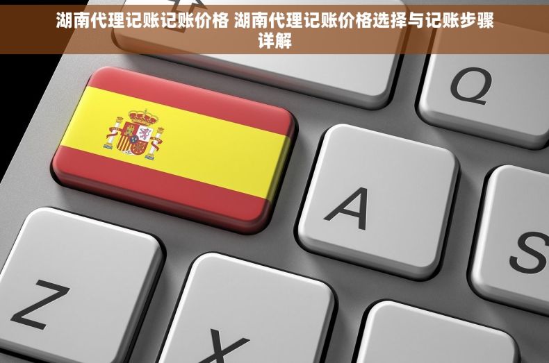 湖南代理记账记账价格 湖南代理记账价格选择与记账步骤详解