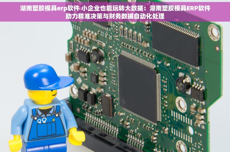 湖南塑胶模具erp软件 小企业也能玩转大数据：湖南塑胶模具ERP软件助力精准决策与财务数据自动化处理