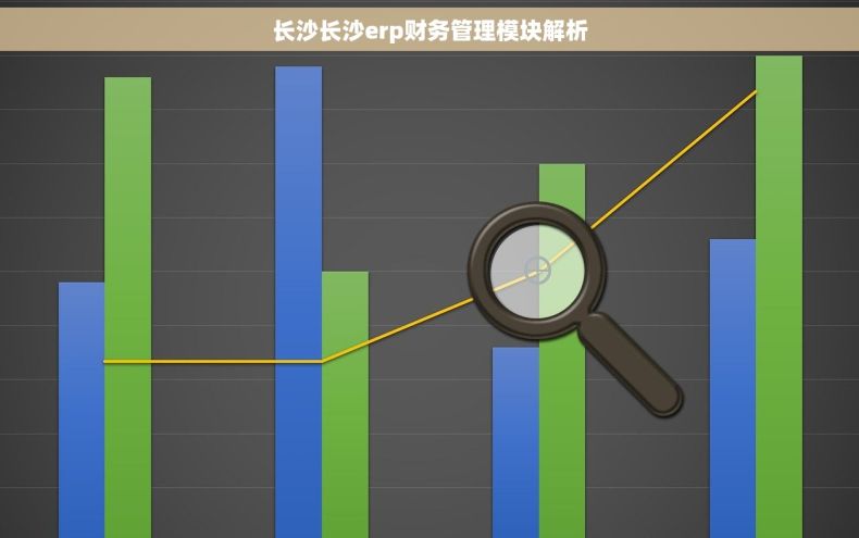 长沙长沙erp财务管理模块解析