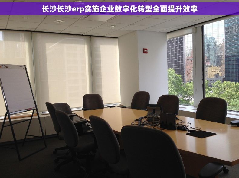 长沙长沙erp实施企业数字化转型全面提升效率