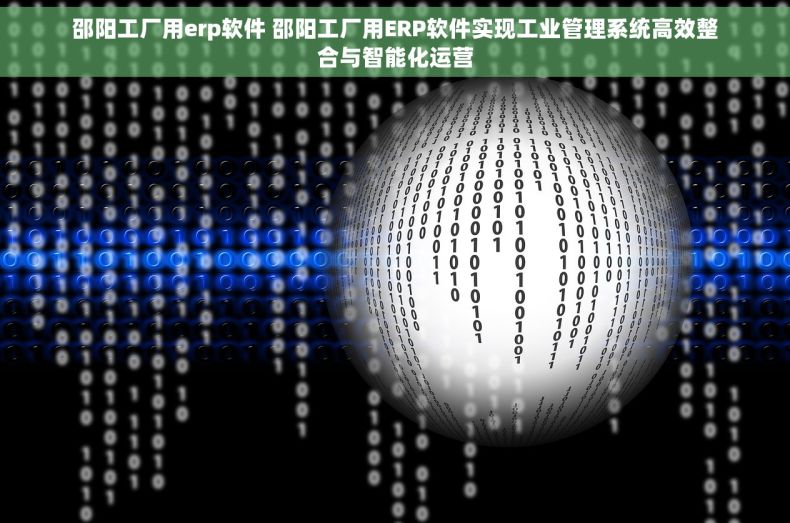 邵阳工厂用erp软件 邵阳工厂用ERP软件实现工业管理系统高效整合与智能化运营