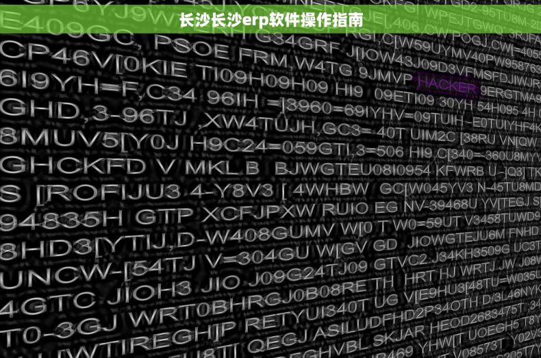 长沙长沙erp软件操作指南