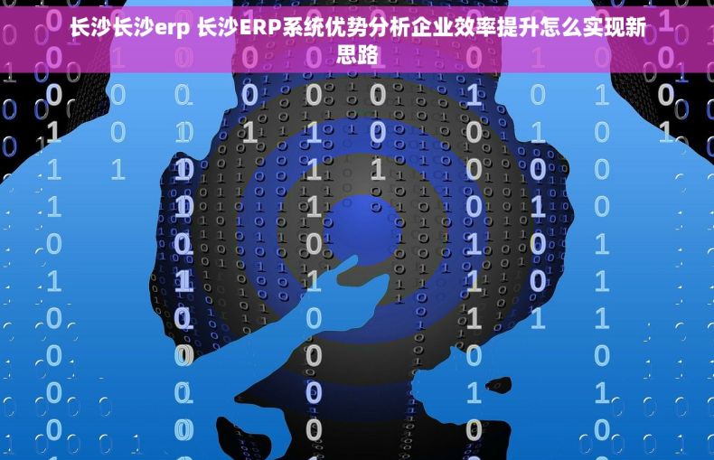 长沙长沙erp 长沙ERP系统优势分析企业效率提升怎么实现新思路