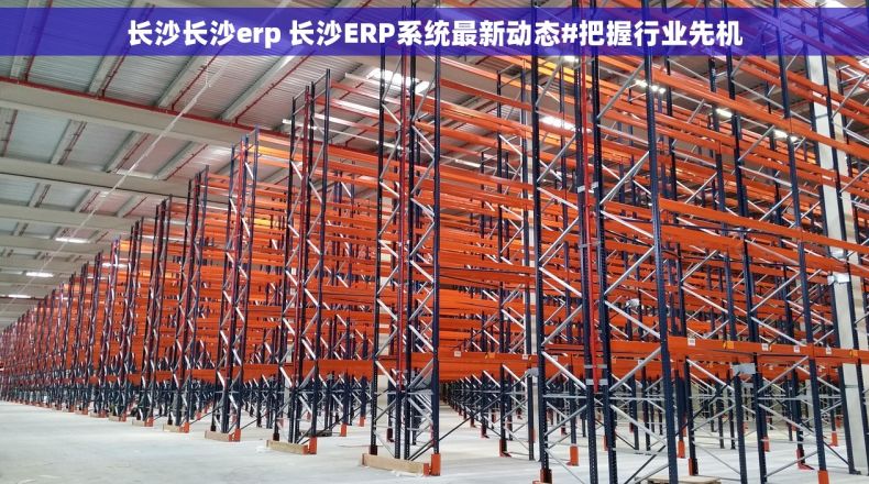 长沙长沙erp 长沙ERP系统最新动态#把握行业先机