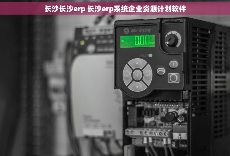 长沙长沙erp 长沙erp系统企业资源计划软件