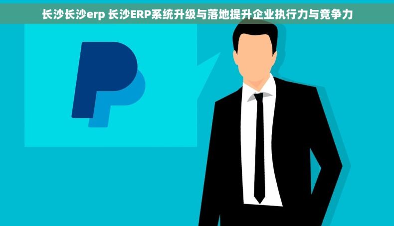 长沙长沙erp 长沙ERP系统升级与落地提升企业执行力与竞争力