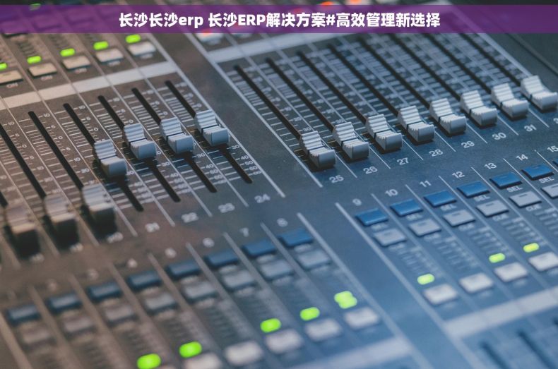 长沙长沙erp 长沙ERP解决方案#高效管理新选择