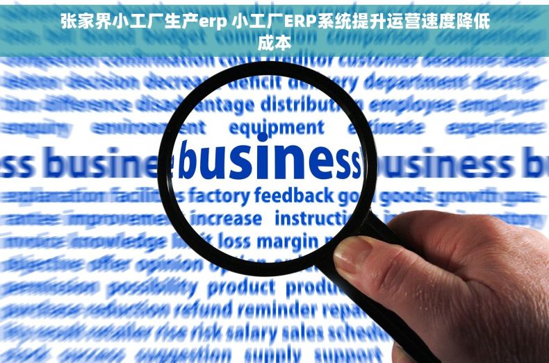张家界小工厂生产erp 小工厂ERP系统提升运营速度降低成本
