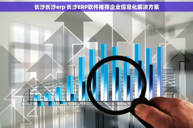 长沙长沙erp 长沙ERP软件推荐企业信息化解决方案