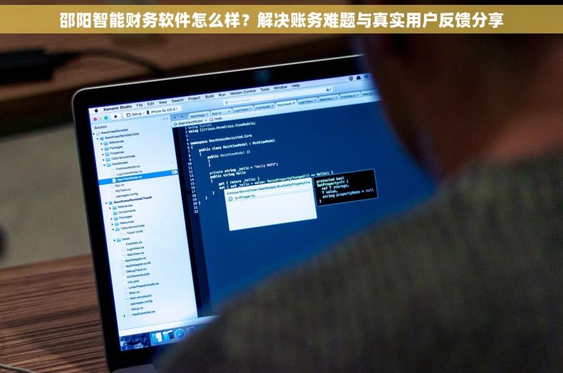 邵阳智能财务软件怎么样？解决账务难题与真实用户反馈分享