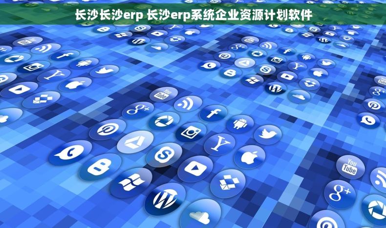 长沙长沙erp 长沙erp系统企业资源计划软件