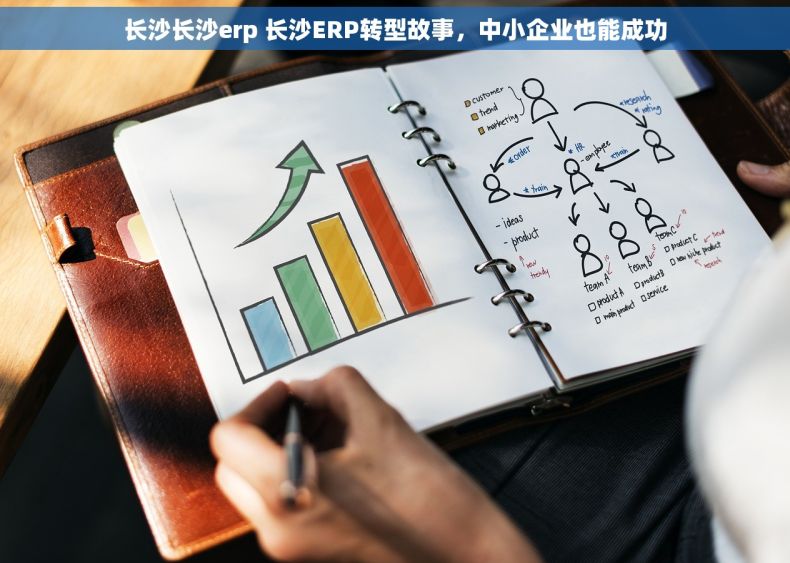 长沙长沙erp 长沙ERP转型故事，中小企业也能成功