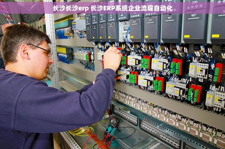 长沙长沙erp 长沙ERP系统企业流程自动化