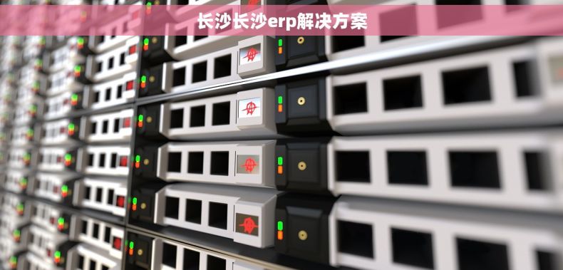 长沙长沙erp解决方案