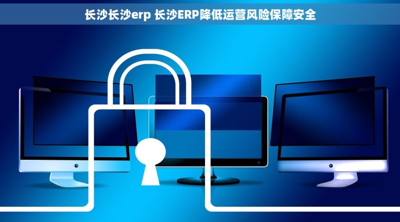 长沙长沙erp 长沙ERP降低运营风险保障安全