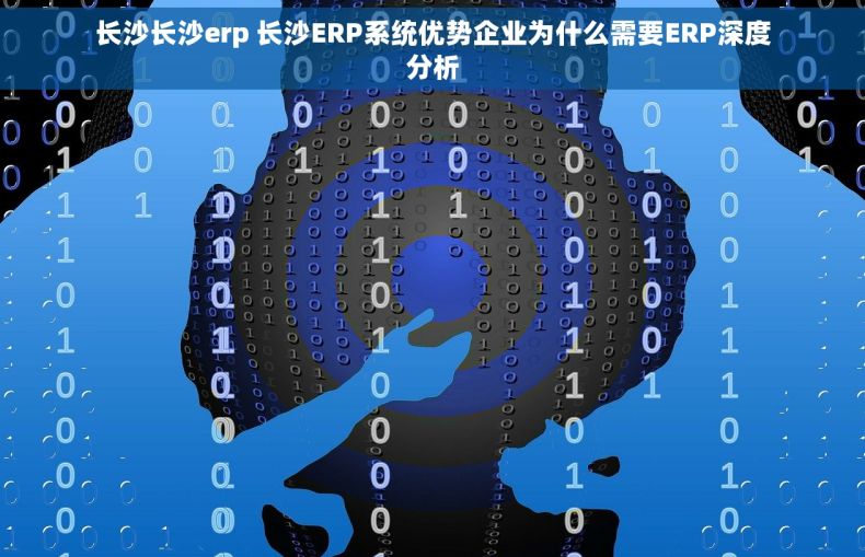 长沙长沙erp 长沙ERP系统优势企业为什么需要ERP深度分析