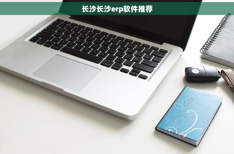 长沙长沙erp软件推荐