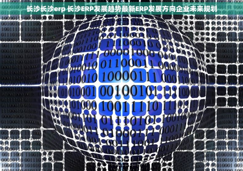长沙长沙erp 长沙ERP发展趋势最新ERP发展方向企业未来规划