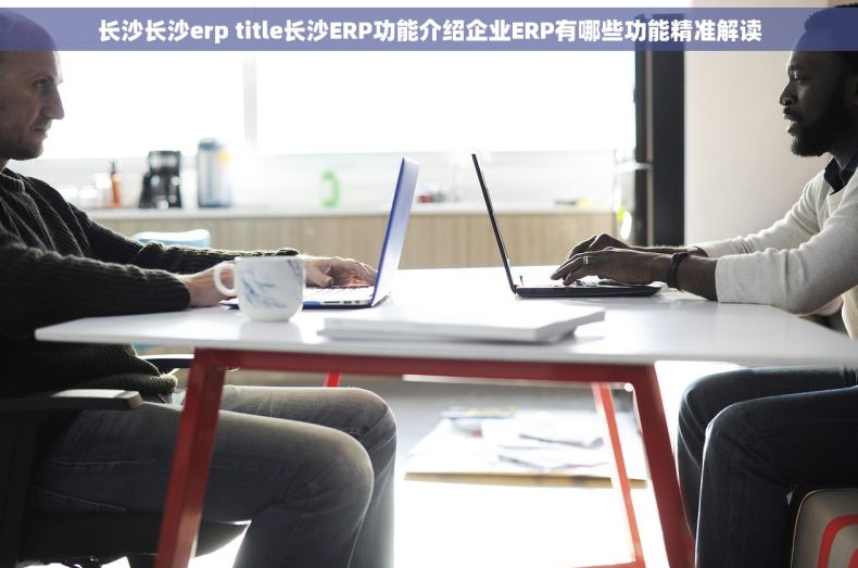 长沙长沙erp title长沙ERP功能介绍企业ERP有哪些功能精准解读