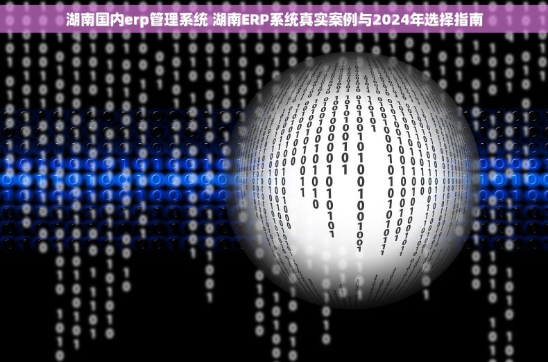湖南国内erp管理系统 湖南ERP系统真实案例与2024年选择指南