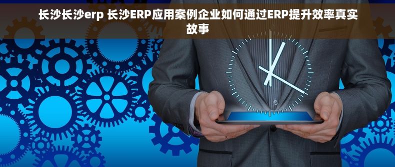 长沙长沙erp 长沙ERP应用案例企业如何通过ERP提升效率真实故事