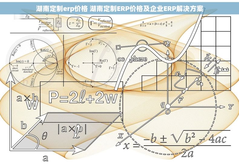 湖南定制erp价格 湖南定制ERP价格及企业ERP解决方案