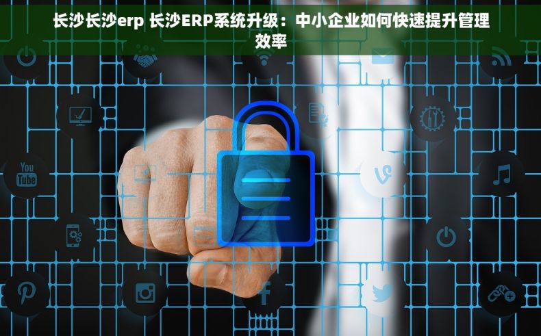 长沙长沙erp 长沙ERP系统升级：中小企业如何快速提升管理效率