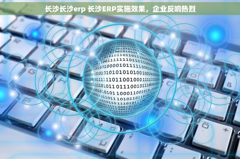 长沙长沙erp 长沙ERP实施效果，企业反响热烈