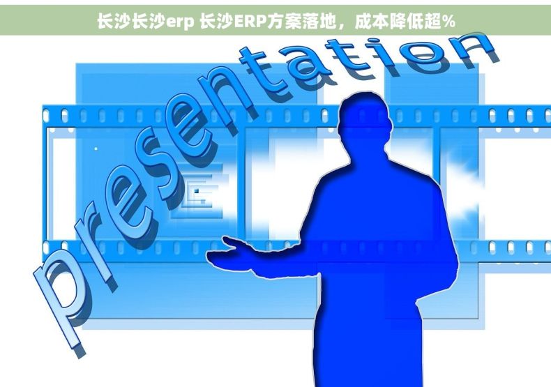 长沙长沙erp 长沙ERP方案落地，成本降低超%