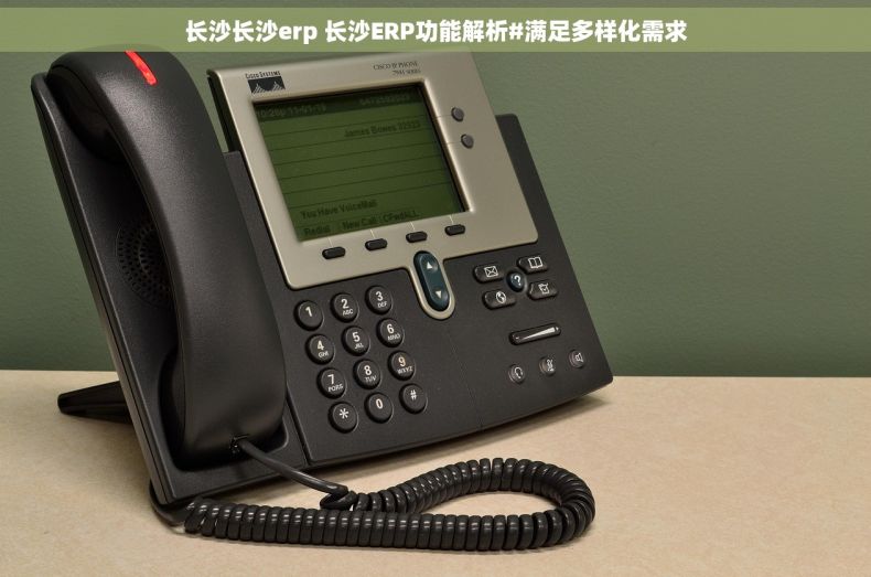 长沙长沙erp 长沙ERP功能解析#满足多样化需求