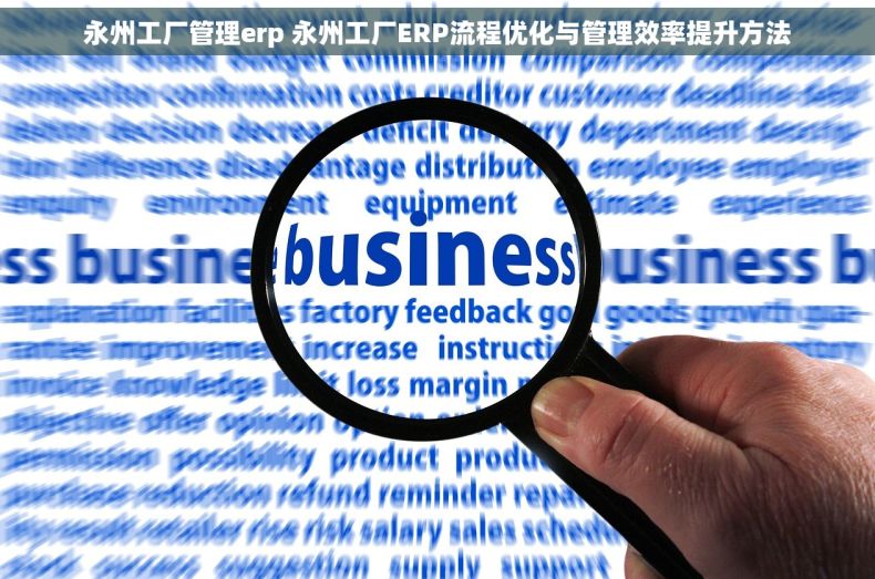 永州工厂管理erp 永州工厂ERP流程优化与管理效率提升方法