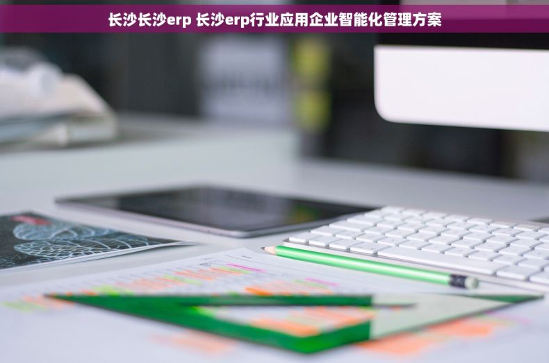长沙长沙erp 长沙erp行业应用企业智能化管理方案