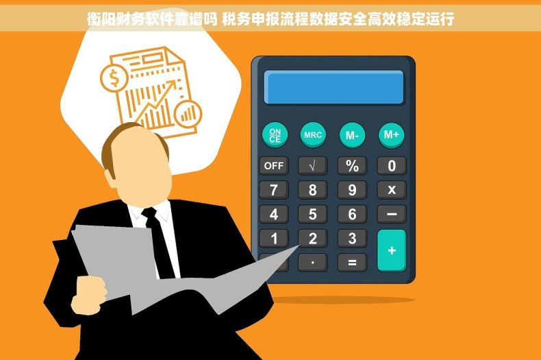 衡阳财务软件靠谱吗 税务申报流程数据安全高效稳定运行