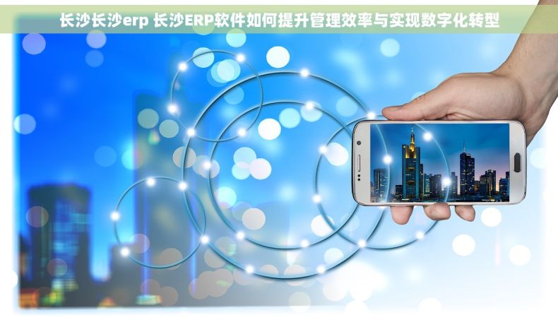 长沙长沙erp 长沙ERP软件如何提升管理效率与实现数字化转型