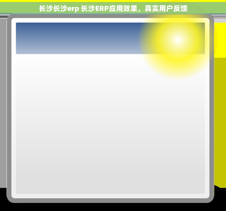 长沙长沙erp 长沙ERP应用效果，真实用户反馈