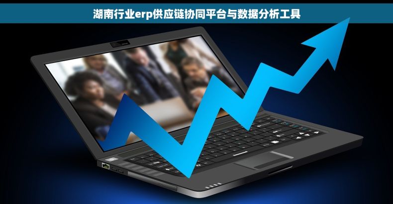 湖南行业erp供应链协同平台与数据分析工具