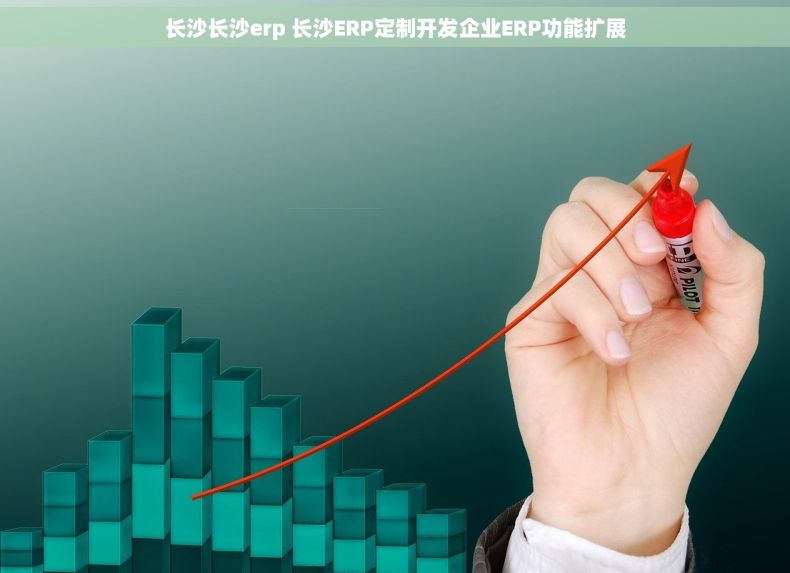 长沙长沙erp 长沙ERP定制开发企业ERP功能扩展