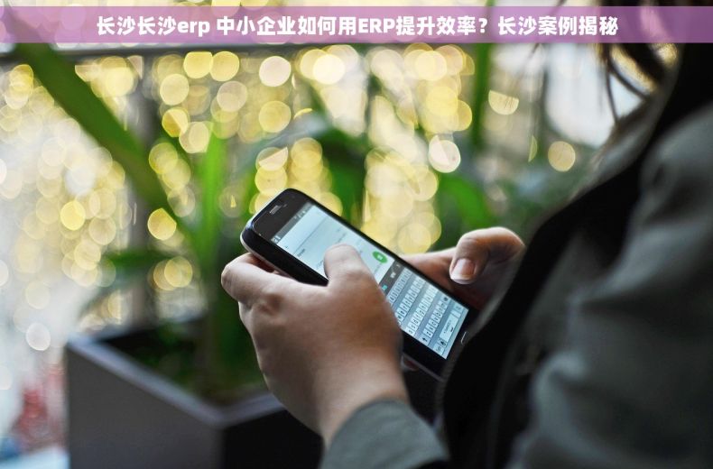 长沙长沙erp 中小企业如何用ERP提升效率？长沙案例揭秘
