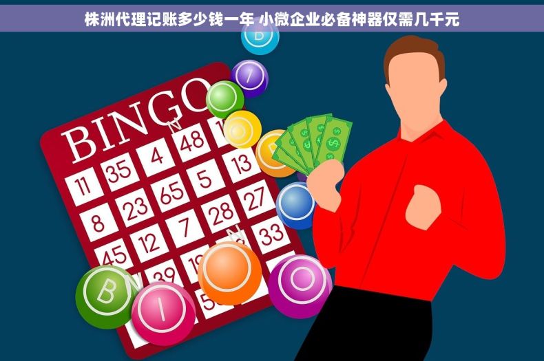 株洲代理记账多少钱一年 小微企业必备神器仅需几千元