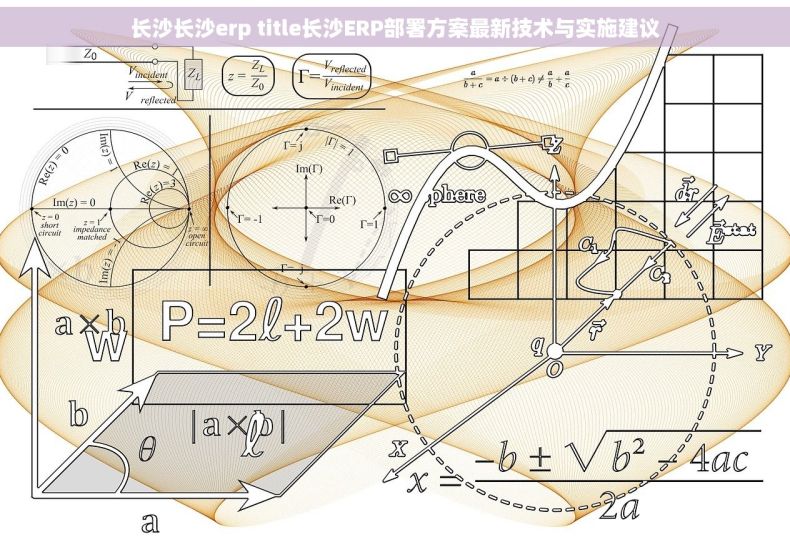 长沙长沙erp title长沙ERP部署方案最新技术与实施建议