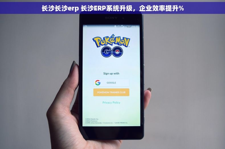长沙长沙erp 长沙ERP系统升级，企业效率提升%