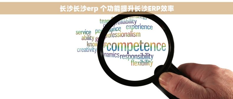 长沙长沙erp 个功能提升长沙ERP效率