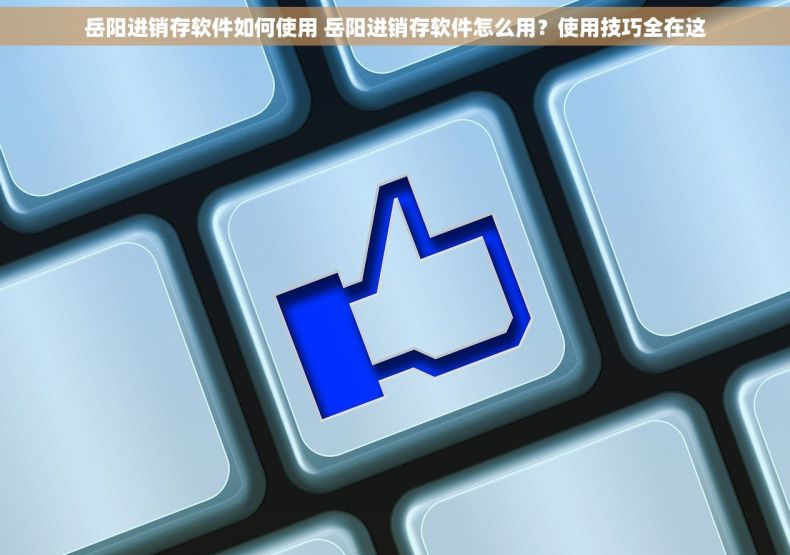 岳阳进销存软件如何使用 岳阳进销存软件怎么用？使用技巧全在这