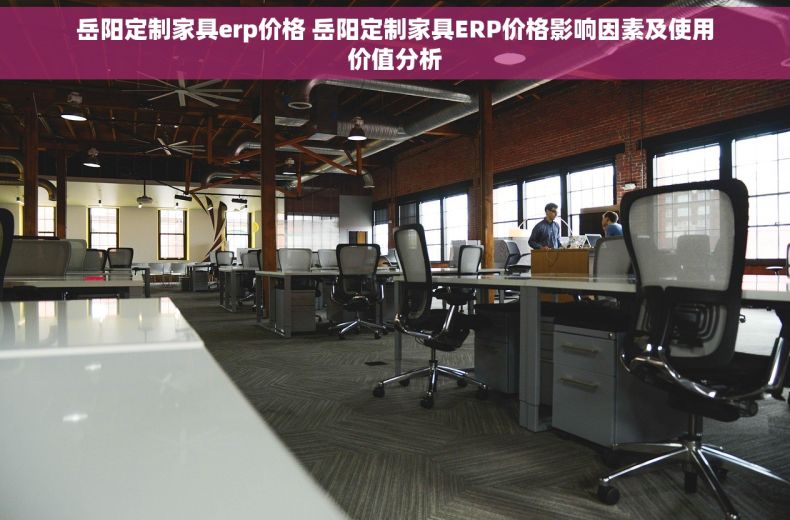 岳阳定制家具erp价格 岳阳定制家具ERP价格影响因素及使用价值分析