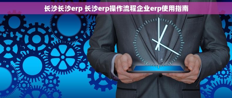 长沙长沙erp 长沙erp操作流程企业erp使用指南