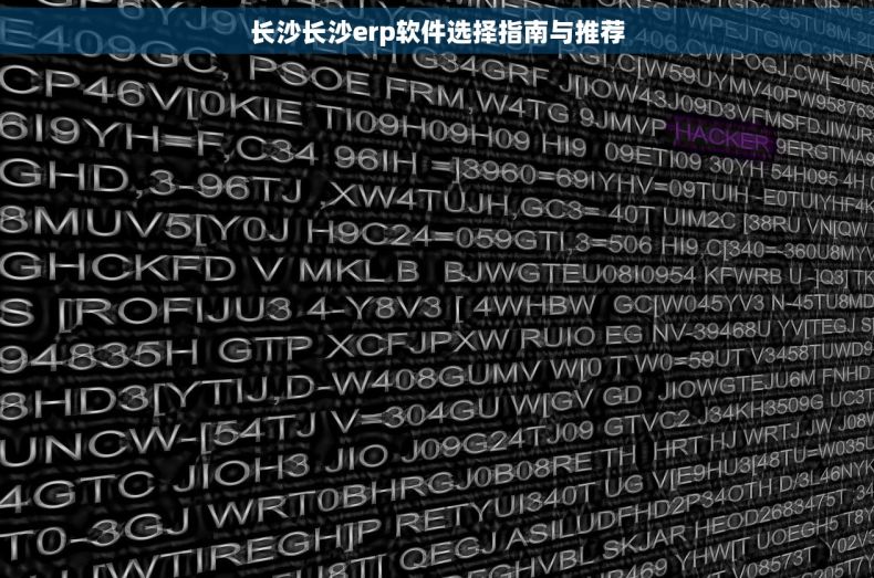 长沙长沙erp软件选择指南与推荐