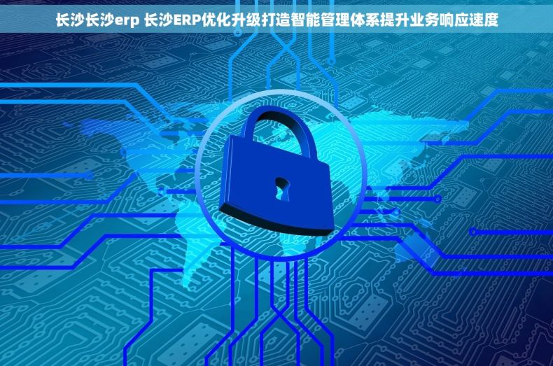 长沙长沙erp 长沙ERP优化升级打造智能管理体系提升业务响应速度