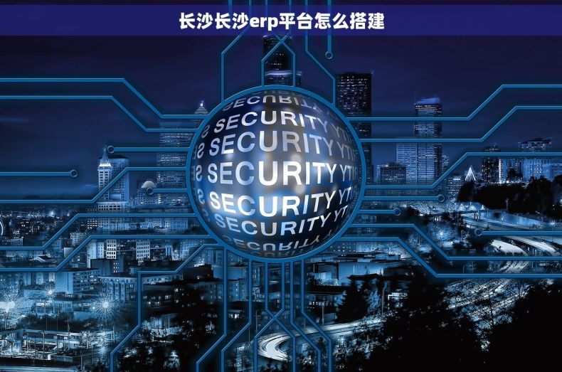 长沙长沙erp平台怎么搭建